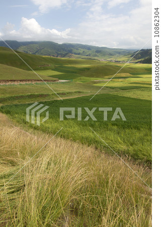 Qilian mountain landscapes 10862304
