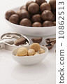 Macadamia Nut 10862513