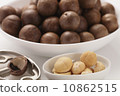 Macadamia Nut 10862515
