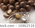 Macadamia Nut 10862518