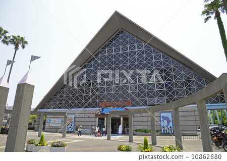 神戶市蘇馬海灘水族館 10862880