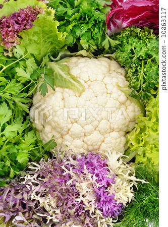background of leaves of cabbage and other greens background of leaves of cabbage and other greens 10863117