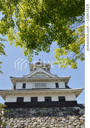 Nagahama castle of fresh green 10863429