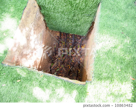 Underground tunnel in Vietnamese citrus Ben Yuok trap Underground tunnel in Vietnamese citrus Ben Yuok trap 10863482