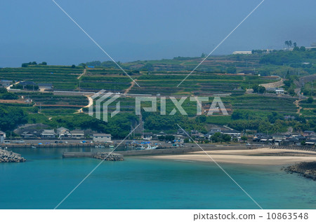 Nagashima's Terraced Field 10863548