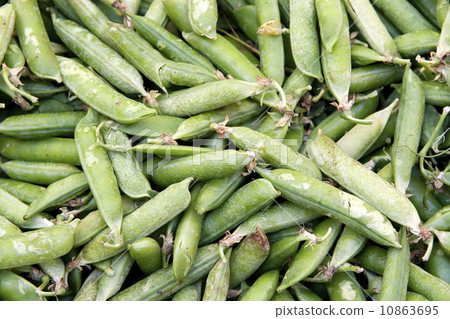 fresh green peas