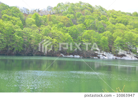 Spring of Oku Shinano 10863947