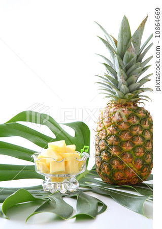 切菠蘿和龜背竹 切菠蘿和龜背竹 10864669