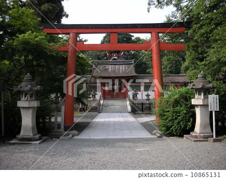Saikai Oimemiya (Saisoni-shogei) 10865131