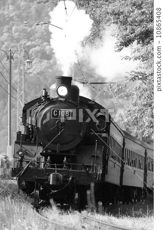 Oigawa Railway SL 10865408