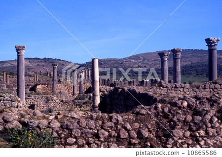 Volubilis remains 10865586