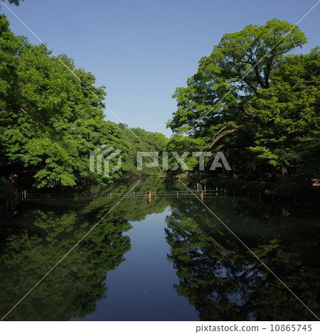 Spring Inokashira Park Spring Inokashira Park 10865745