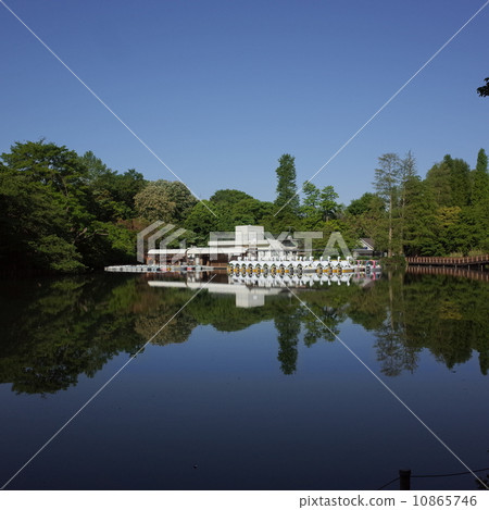Spring Inokashira Park Spring Inokashira Park 10865746