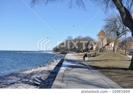 Along the coast of Visby 10865809