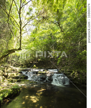 Red eyed falls Red eyed falls 10866074