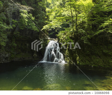 Red eyed falls 10866098