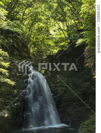 Red eyed falls 10866101