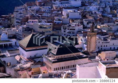 穆萊·伊德里斯 10866114