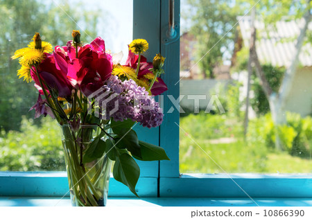 Flowers on the window Flowers on the window 10866390