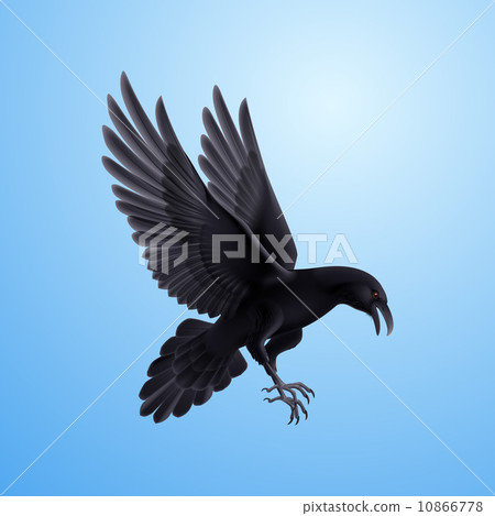 Black raven on blue background 10866778