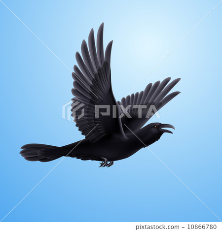 Black raven on blue background 10866780