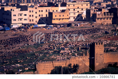 範的tannelli 10866781