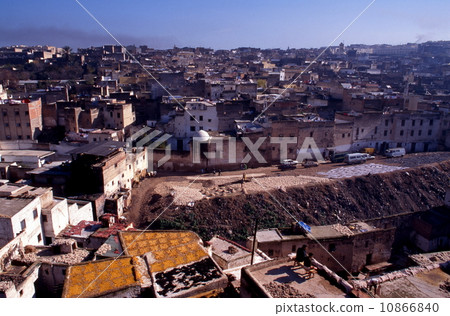 範的tannelli 10866840