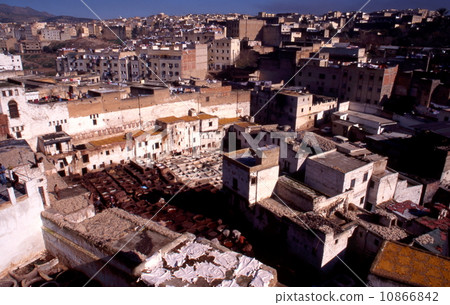 範的tannelli 10866842