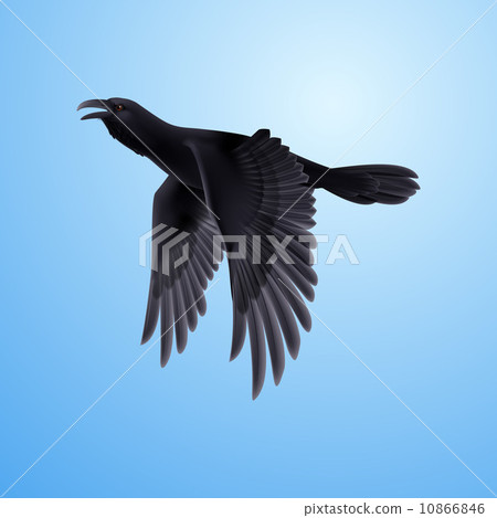 Black raven on blue background 10866846