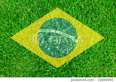Brazil grass of Soccer championship 2014 10866966