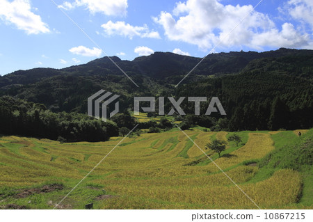 The way to fruit The way to fruit 10867215
