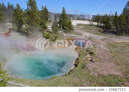 Yellowstone National Park 10867251