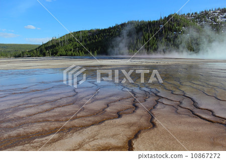 黃石國家公園 黃石國家公園 10867272