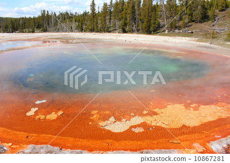 黃石國家公園 10867281
