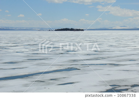 春天黃石國家公園 10867338