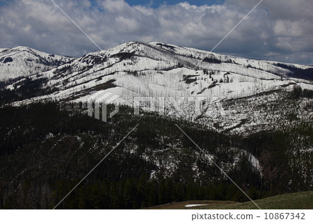 Spring Yellowstone National Park 10867342