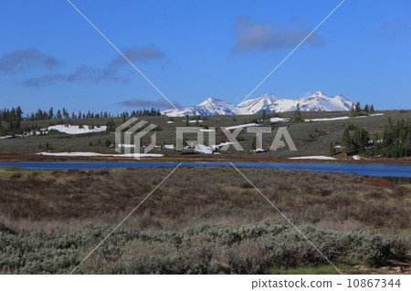 春天黃石國家公園 10867344