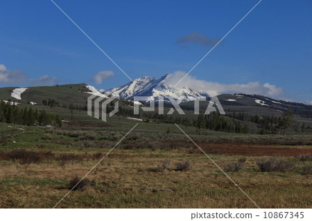 春天黃石國家公園 春天黃石國家公園 10867345