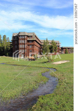 春天黃石國家公園 10867367