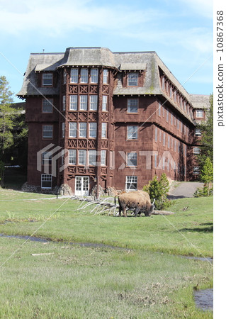 春天黃石國家公園 10867368