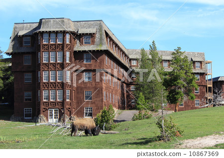 春天黃石國家公園 10867369