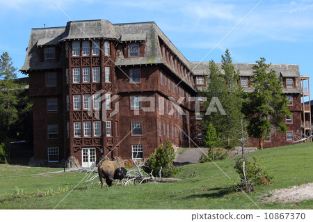 春天黃石國家公園 10867370