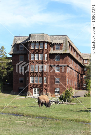 Spring Yellowstone National Park 10867371