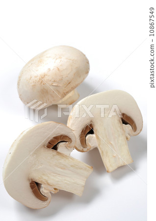 White mushroom  10867549