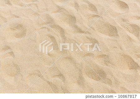 沙灘的腳印 10867817