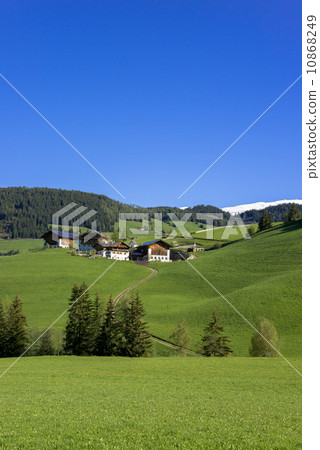 在白雲巖的春天風景 10868249