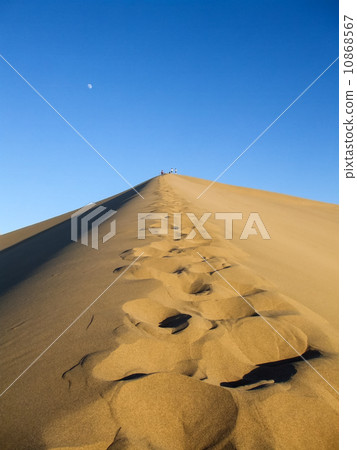 Footprints of Dunhuang, Narusa 10868567