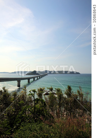 Kakushima Bridge 10868643