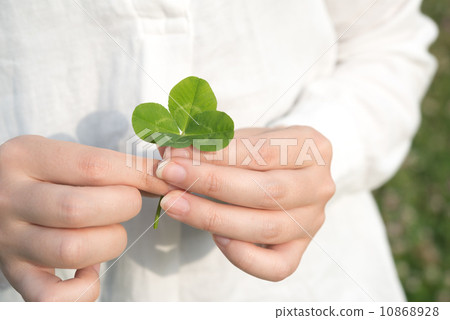 四片葉子的三葉草 四片葉子的三葉草 10868928
