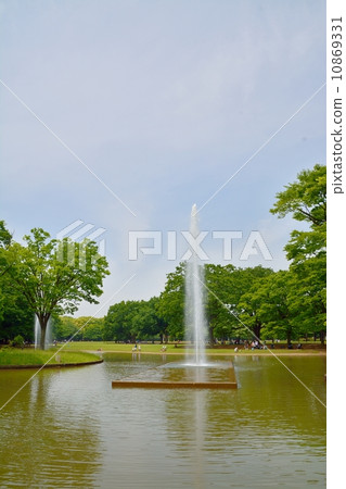 新鮮的綠色代代木公園 新鮮的綠色代代木公園 10869331